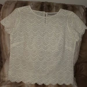ANN TAYLOR-LOFT cream lace top